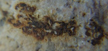 2017-02-05 11-55-58 (2).JPG