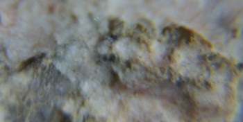 2017-02-05 11-56-28 (2).JPG