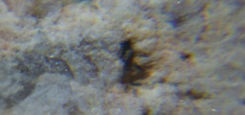 2017-02-05 11-56-40 (2).JPG