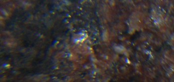 2017-01-08 13-33-24 (3).JPG