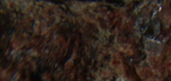 2017-01-08 13-33-46 (2).JPG