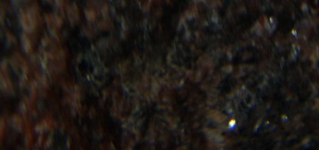 2017-01-08 13-33-54 (2).JPG