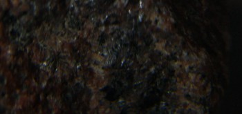 2017-01-08 13-34-04 (2).JPG