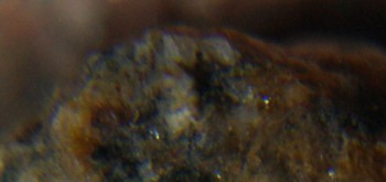 2017-01-08 13-35-18 (2).JPG