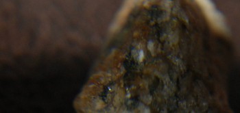 2017-01-08 13-35-38 (2).JPG