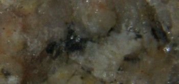 2017-01-08 13-35-46 (2).JPG