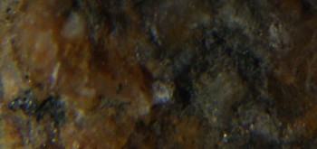 2017-01-08 13-37-42 (2).JPG