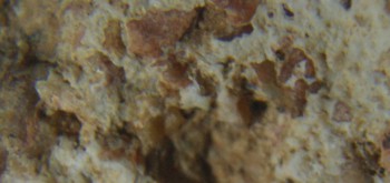 2017-01-08 13-38-28 (2).JPG