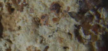 2017-01-08 13-38-28 (3).JPG