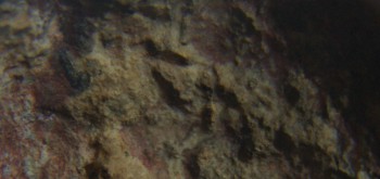 2017-01-08 13-38-44 (2).JPG