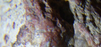 2017-01-08 13-39-00 (2).JPG