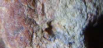 2017-01-08 13-39-00 (3).JPG