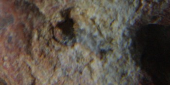 2017-01-08 13-39-04 (2).JPG