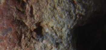 2017-01-08 13-39-14 (2).JPG