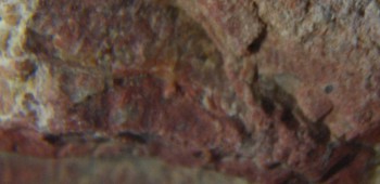 2017-01-08 13-39-14 (3).JPG