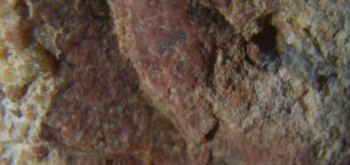 2017-01-08 13-39-14 (4).JPG