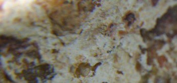 2017-01-08 13-39-22 (2).JPG