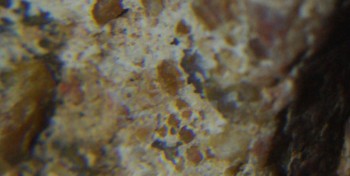 2017-01-08 13-39-22 (3).JPG