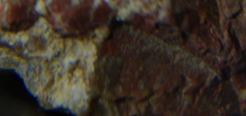 2017-01-08 13-39-26 (2).JPG