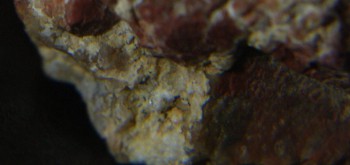 2017-01-08 13-39-36 (2).JPG