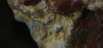 2017-01-08 13-39-36 (3).JPG