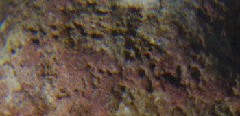 2017-01-08 13-39-56 (2).JPG