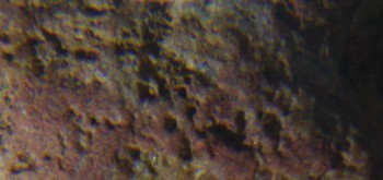 2017-01-08 13-39-56 (3).JPG