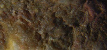 2017-01-08 13-39-56 (4).JPG