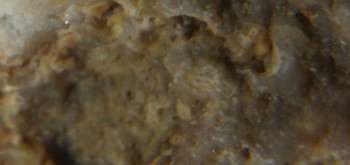 2017-01-08 13-39-56 (5).JPG