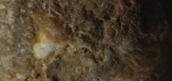 2017-01-08 13-39-56 (6).JPG