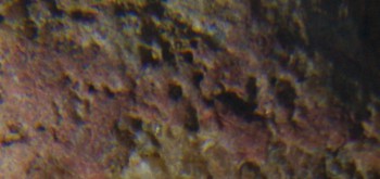 2017-01-08 13-39-56 (7).JPG