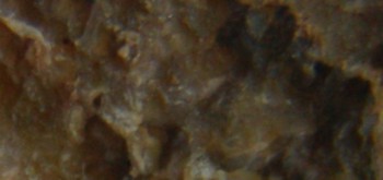 2017-01-08 13-39-56 (8).JPG