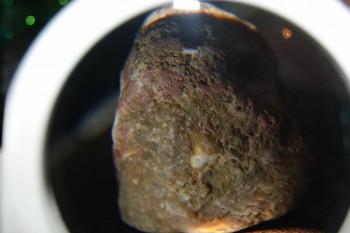 2017-01-08 13-39-56.JPG