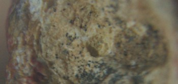 2017-01-08 13-43-10 (2).JPG