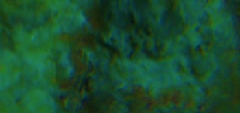 2017-01-08 13-43-22 (2).JPG