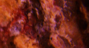 2017-01-08 13-43-22 (3).JPG