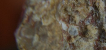 2017-01-08 13-43-22 (5).JPG