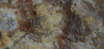 2017-01-08 13-43-28 (2).JPG