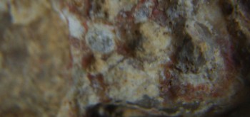 2017-01-08 13-43-22 (4).JPG