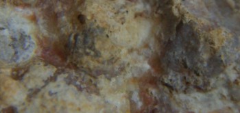 2017-01-08 13-43-28 (4).JPG