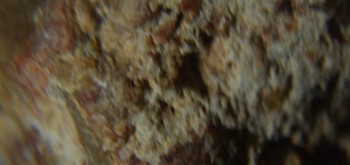 2017-01-08 13-43-42 (2).JPG