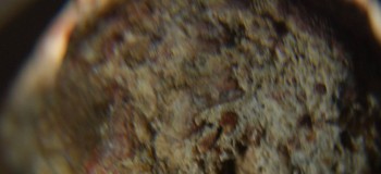 2017-01-08 13-43-42 (3).JPG