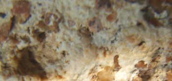 2017-01-08 13-43-56 (2).JPG