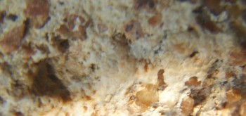 2017-01-08 13-43-56 (3).JPG