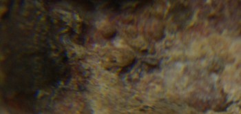 2017-01-08 13-44-14 (2).JPG