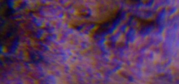 2017-01-08 13-44-14 (3).JPG