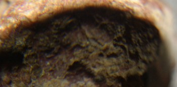 2017-01-08 13-44-20 (2).JPG