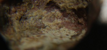 2017-01-08 13-44-20 (3).JPG