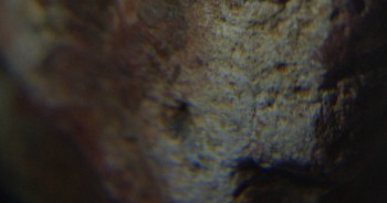 2017-01-08 13-44-32 (2).JPG