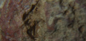 2017-01-08 13-44-32 (3).JPG